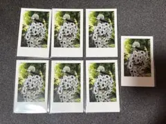 いれいす 実写チェキ 悠佑