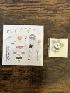 RIIZE ランダムトイ　PVCチャーム&クリアステッカーセット　アントン