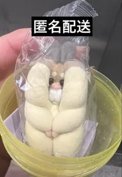 すきまハムスター マスコットフィギュア2 ロボロフスキー　ガチャ　カプセルトイ