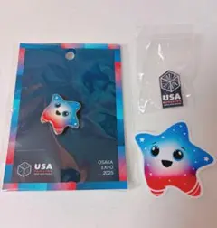 2025年最新】アメリカ館ピンバッジの人気アイテム - メルカリ