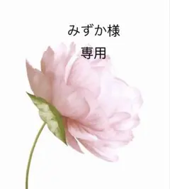 みずか様　専用