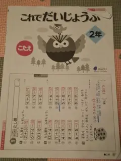 これでだいじょうぶ 2年　教科書
