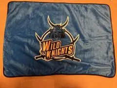 Item thumbnail for item ca696248-28b4-43ef-b0a7-2a4f33980dfa