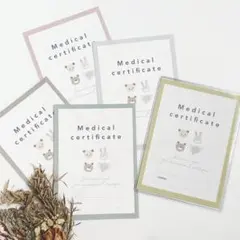 cat様 リクエスト 3点 まとめ商品