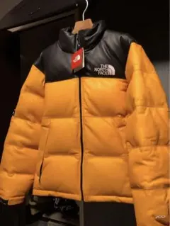 Supreme The North Face Leather Nuptse