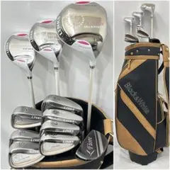 2026年最新】St ANDREWS ゴルフクラブ レディース クラブセットの人気