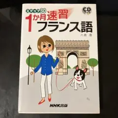 ステップ30 1か月速習フランス語