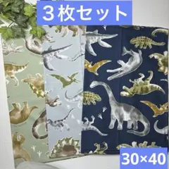 ３枚組★ランチョンマット★給食ナフキン★恐竜A