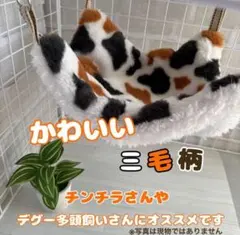 Item thumbnail for item 5241c104-b6a7-4a3f-a315-ca453623a165