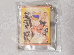 ハイキュー ミニチュアキャンバスキーホルダー 烏野、稲荷崎