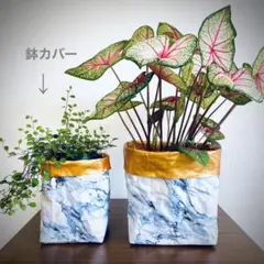 プラント鉢カバー　インテリア雑貨　観葉植物