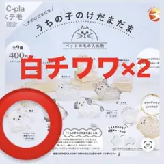 正規品　うちの子のけだまだま　チワワ　白　2個セット