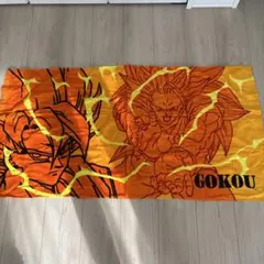 Item thumbnail for item 4658b704-18c4-4fc9-8958-10f3e9368615