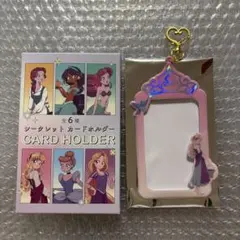 ディズニーストア シークレットカードホルダー オーロラ 眠れる森の美女