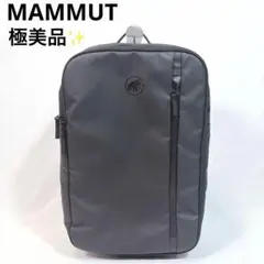極美品✨ マムート（MAMMUT）セオン トランスポーター25 リュック バッグ