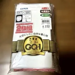 GUNZE GQ-1 天引きブリーフ Lサイズ 2枚組