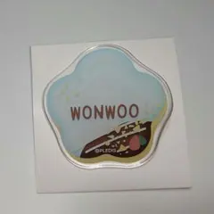 SEVENTEEN ウォヌ アクリルバッジ