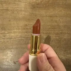 セザンヌ ラスティング リップカラーN 504