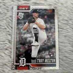 Item thumbnail for item 6574cd14-6a77-4607-afd7-372953cac168