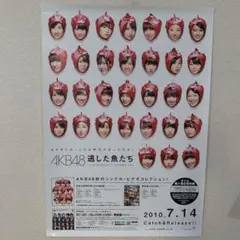 AKB ポスター　逃した魚たち　チームドラゴン