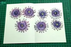 Item thumbnail for item b17578d0-7df9-4b93-8f30-929af9629d5b