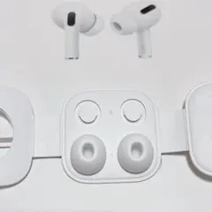 Apple純正 AirPodsPro イヤーチップ Lサイズ