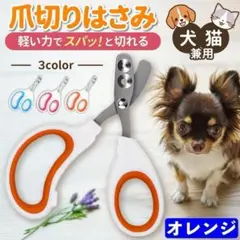 Item thumbnail for item 63f1c82a-8ac1-4690-9f1f-ebd5ac4f0d15