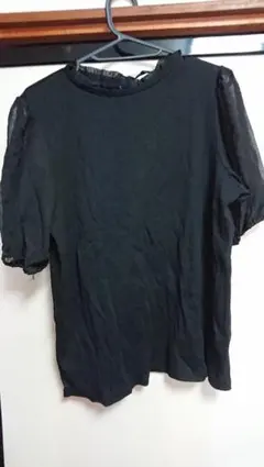 Item thumbnail for item 65b5c3c7-86fb-4ae3-bc77-a58fa02def4e