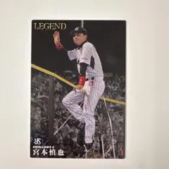 2026年最新】宮本慎也（東京ヤクルトスワローズ）の人気アイテム