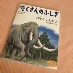 たくさんのふしぎ 2024年12月号