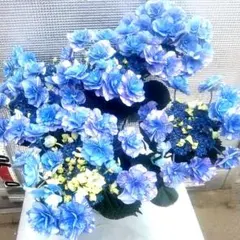 ★Y.M様、専用出品です❇③フェアリー マーブル ＆フレボディウム ブルースター