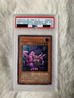 2025年最新】百獣王ベヒーモスの人気アイテム - メルカリ