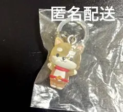 JOCHUM めじるしアクセサリー まめちぃ