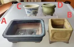 【陶翠】盆栽鉢4点セット 陶翠 盆栽鉢 丸鉢 落款 現品 新品 : はニわ株式会社 Yahoo