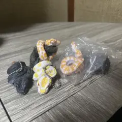 ボールパイソン ガチャ 4個セット