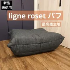 SALE❗️ligne roset ROSETTOGO 2P グリーン ブルー - メルカリ