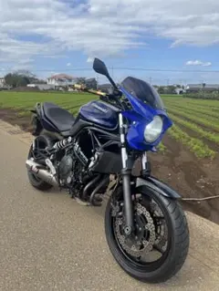 Ninja400 2026年式 社外品 鉄製 燃料タンク 中国製 - メルカリ