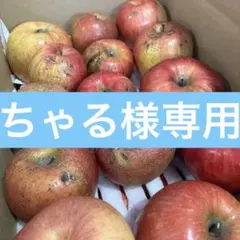 ちゃる様専用　フジ7×2