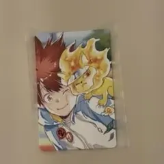 自撮り風トレーディングカード 沢田綱吉 綱吉＆ナッツ 特典 天野明展 天野明展 家庭教師ヒットマンREBORN 購入特典 自撮り風カード 沢田綱吉