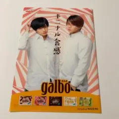 ガルボ クリアファイル　中島健人&菊池風磨