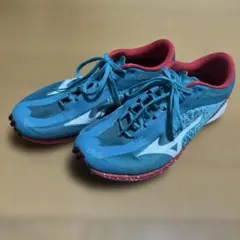 Item thumbnail for item f5f1c343-157c-47f5-97ac-a8b99890414c