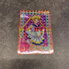 シルバニラ様 リクエスト 2点 まとめ商品