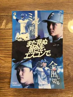 まだ見ぬ景色を、エスコンで。　郡司柳川