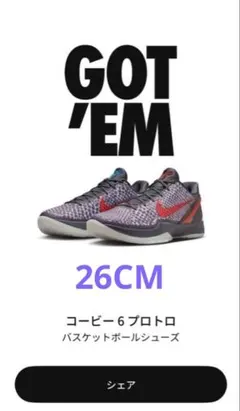 コービー6プロトロ