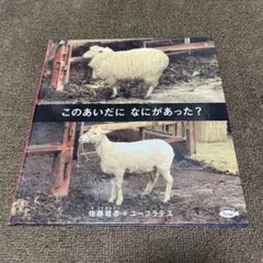 サラママ様 リクエスト 2点 まとめ商品