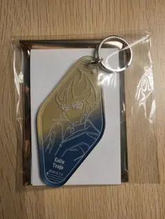 遊戯王ZEXAL 天城カイト コラボカフェ モーテルキー風アクリル