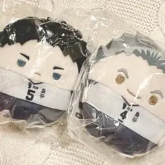 ハイキュー　ふわコロりん3 木兎光太郎　赤葦京治　ぬいぐるみ　マスコット