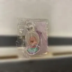 ディズニー　カラー　コレクション　チャーム　パープル　ヤングオイスター