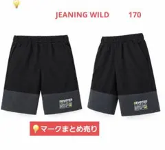 JEANING WILD 170 DEVOTED ELOQUENT ハーフパンツ