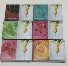 DR.VAPE Model 3用リキッド 6種セット